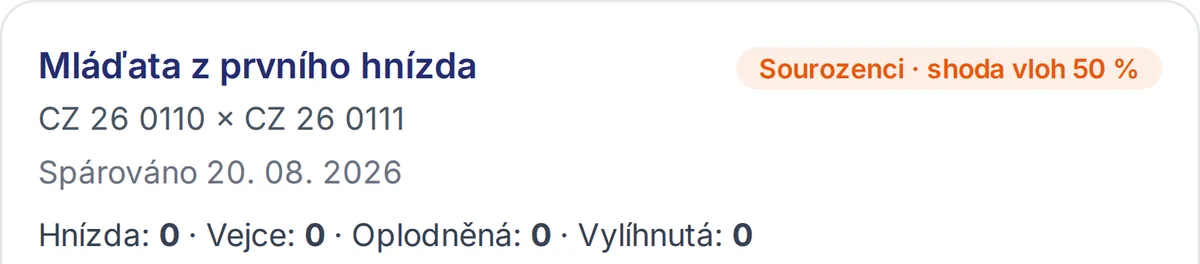 Aplikace vám řekne, jestli jsou příbuzní